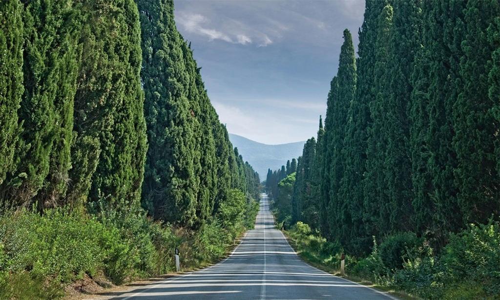 Agriturismo Ss Annunziata Сан-Винченцо Экстерьер фото