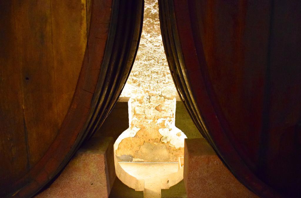 Agriturismo Ss Annunziata Сан-Винченцо Экстерьер фото