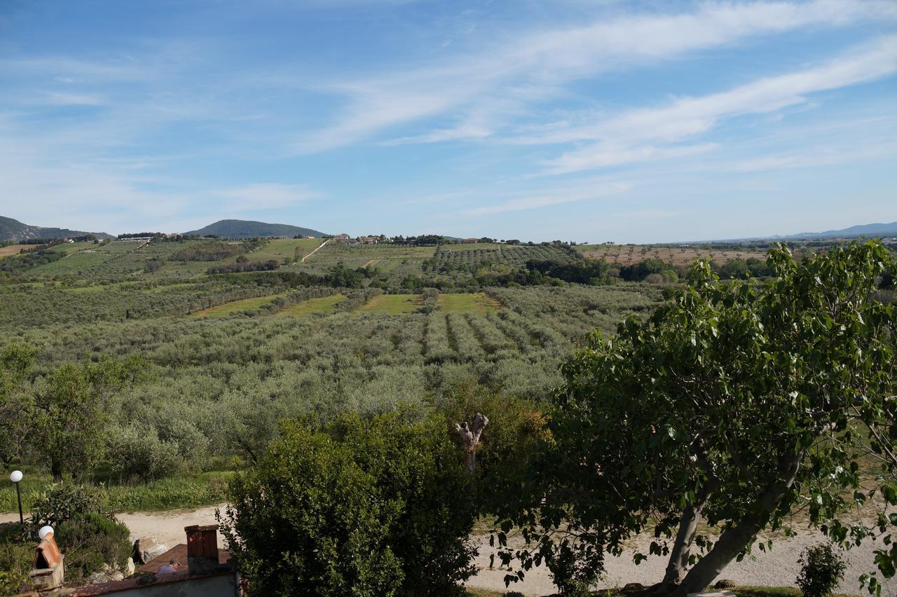 Agriturismo Ss Annunziata Сан-Винченцо Экстерьер фото